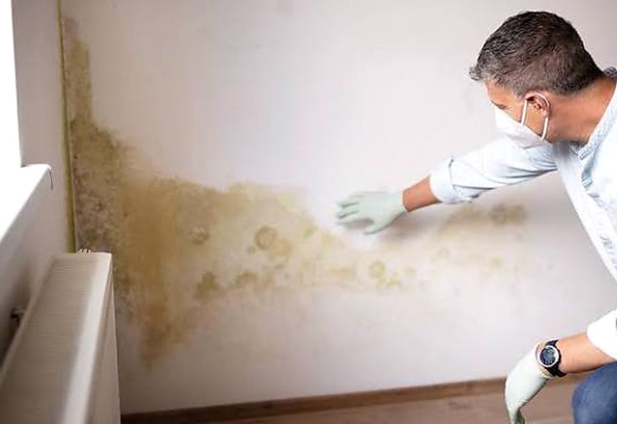 Wall Damp and Seepage Treatment — work by Shiva Kumar Water Proofing Services